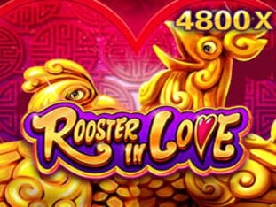 Rooster In Love game thumbnail